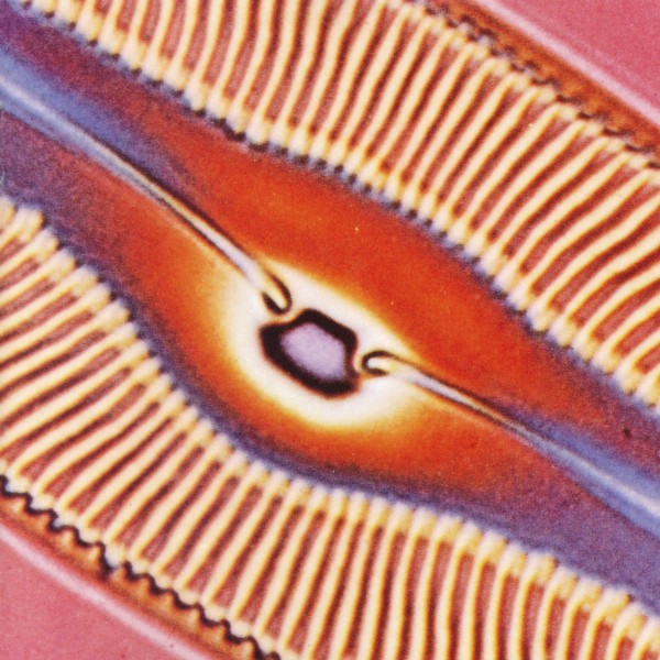 Houseside – E.S.P.&nbsp;(1993)